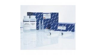 QIAGEN Plasmid Plus Kit质粒纯化试剂盒