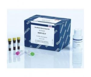 QIAamp Fast DNA Stool Mini Kit 试剂盒