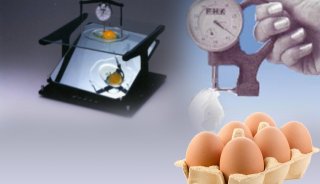 日本FHK鸡蛋检测设备
