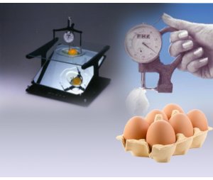 日本FHK鸡蛋检测设备