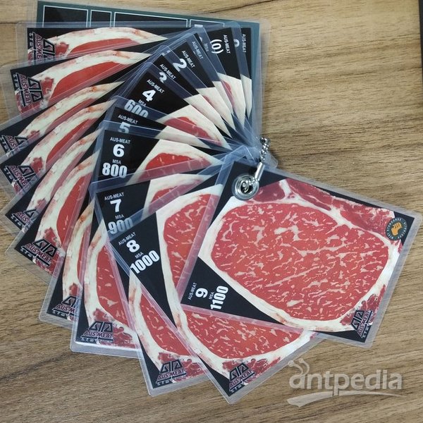 澳洲标准牛肉<em>大理石</em>纹比色卡