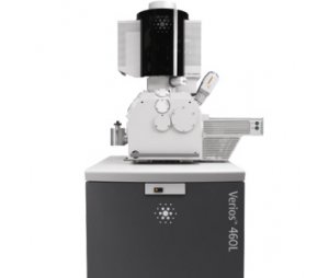 赛默飞Verios 5 XHR SEM 扫描电子显微镜