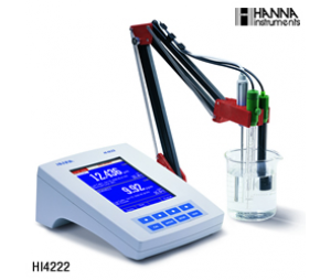 HI4222超大彩屏高精度双通道酸度测定仪