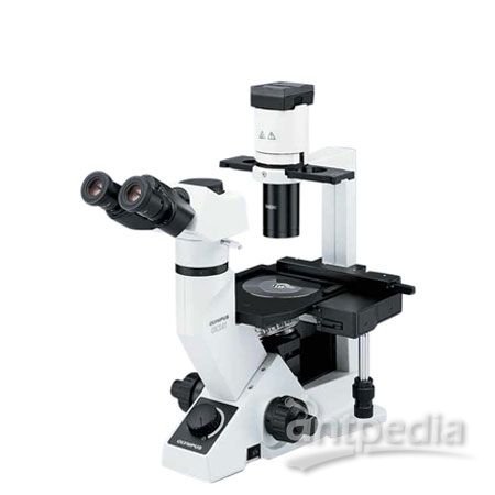 奥林巴斯CKX41倒置生物显微镜