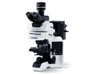 奥林巴斯BX63生物显微镜