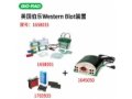 伯乐Bio-Rad小型垂直电泳转印系统套装(电泳槽+转印芯+基础电源)
