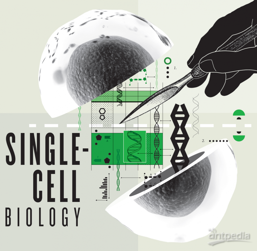 单细胞基因组测序
