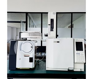  shimadzu 岛津 GCMS-QP2010 Plus 气相色谱质谱联用仪 
