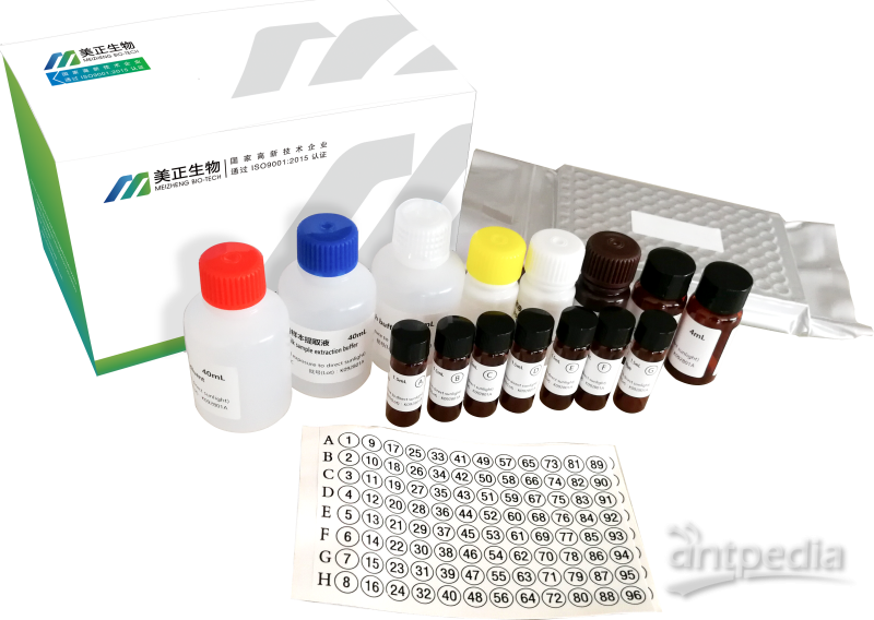 美正阪崎肠杆菌/<em>沙门氏菌</em>核酸检测试剂盒（PCR-探针法）