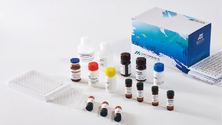 美正<em>腹泻</em>性贝类毒素ELISA检测试剂盒 适用水产中肌肉、肝脏等部分