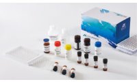 美正四环素类(TCs)ELISA检测试剂盒 适用动物组织、鸡蛋、猪尿等样本