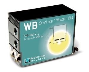 Western Blot 检测系统ScanLater <em>Molecular</em> Devices