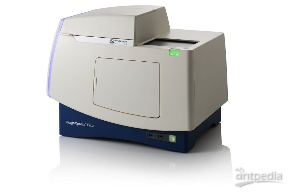 自动化细胞成像分析系统ImageXpress Pico美谷分子 自动化细胞成像分析技术评估 CFP 标记 <em>核蛋白</em>的转导效率