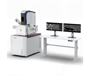半导体缺陷分析 纳克微束高分辨场发射扫描电镜 FE-1050系列 