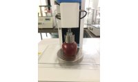 HP-ZGY-TA物性测试仪质构仪测量水果