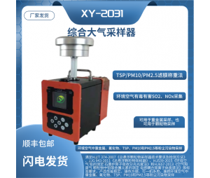 新业环保综合大气采样器 滤膜称重法 总悬浮颗粒物综合采样 有毒有害气体采集  XY-2031