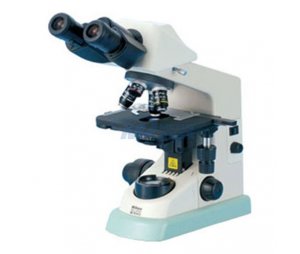 迈越生物尼康生物显微镜E100