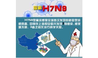 全球首现H7N9禽流感 国内多地遭袭