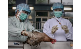 全球首现H7N9禽流感 国内多地遭袭
