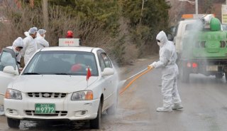 韩国禽流感疫情升温 新增3起病例1