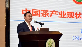 湖南农业大学教授、中国工程院院士刘仲华作报告
