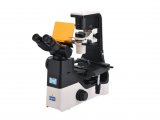 NIB630-FL倒置荧光显微镜
