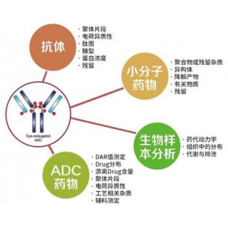 人用抗體偶聯(lián)藥物制品