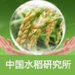 中国水稻研究所