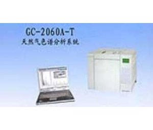 GC-2060A-T天然气分析专用气相色谱仪 