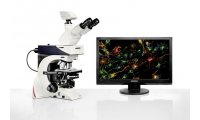  德国徕卡 正置手动显微镜 DM2500 LED
