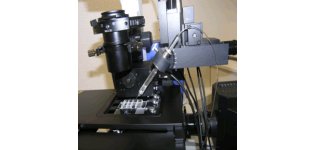 MMI CellEctor Plus 单细胞分选系统