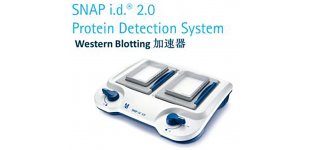 默克SNAP i.d. 2 Western Blotting<em>加速器</em>