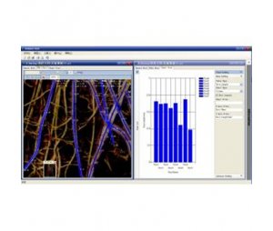 RootAnalysis根系分析专业软件