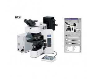 研究级全电动系统正置式金相显微镜BX61