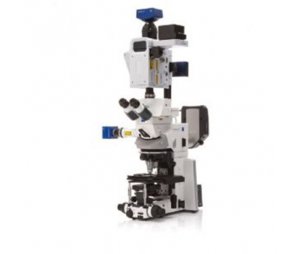 Cell Observer SD转盘式激光共聚焦显微镜