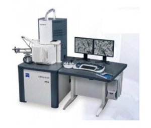 SUPRA™超高分辨率场发射扫描电子显微镜