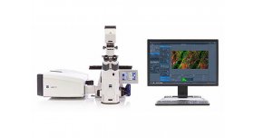ZEISS LSM 980激光共聚焦显微镜