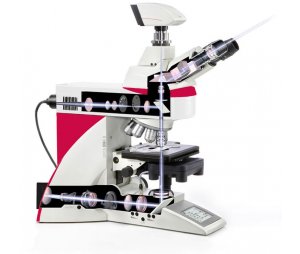 Leica徕卡DM68 科研级全自动数码显微镜