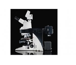 leica DM5000生物显微镜
