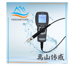 Y600-A便携式荧光法溶解氧测定仪