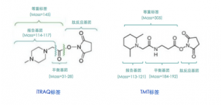 iTRAQ/TMT定量<em>蛋白组学</em>分析