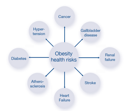 <em>肥胖</em>相关免疫因子检测