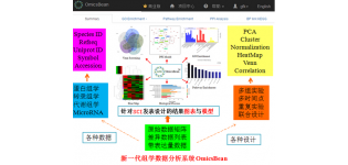 OmicsBean 组学数据分析系统