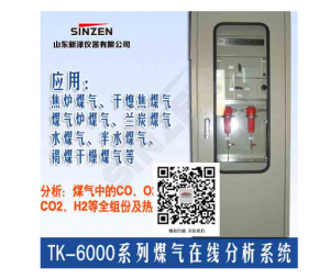 TK-6000焦炉煤气发生炉气体分析系统