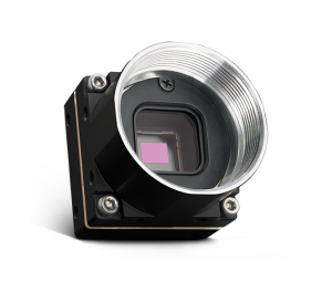 Firefly DL工业相机