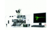 德国徕卡 荧光显微镜系统为高级的成像和分析 LAS X Widefield Systems