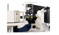 德国徕卡 共聚焦显微镜 TCS SP8 SMD 单分子检测平台