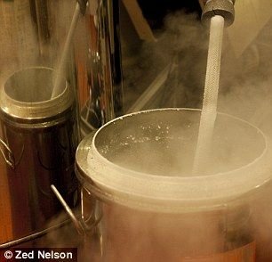 液态氮用于冷却ZEPLIN-III探测器中的“靶子”