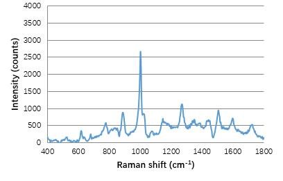 可卡因拉曼增强信号（激光功率15mw，积分时间3s）
