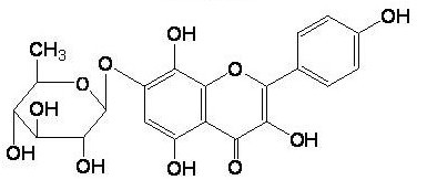 上海同<em>田</em>标准品草质素-7-O-鼠李糖苷Rhodionin85571-15-9中草药对照品中药对照品
